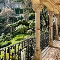 Tours & Sightseeing