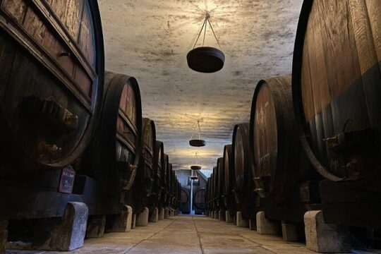 Wine Not? & Cheese Delights - Tailor Made your Private Daytrip