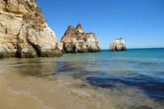 Transport from Lisbon/Algarve or Algarve/Lisbon