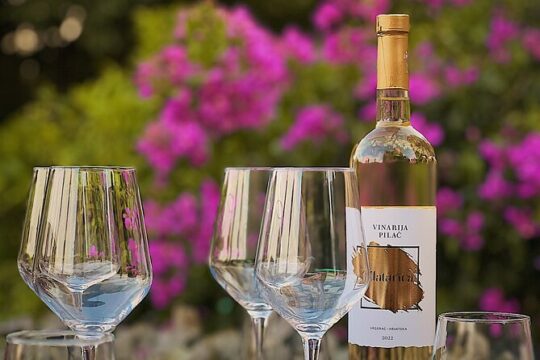 Dalmatian wine story