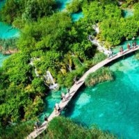 Tours & Sightseeing