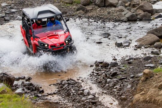 1hr Buggy Adventure & Whale Watching from Reykjavik