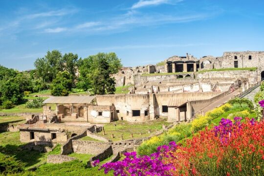 Private tour Naples to Pompei, Castellammare Di Stabia & back