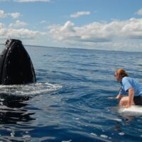 Cruises, Sailing & Water Tours