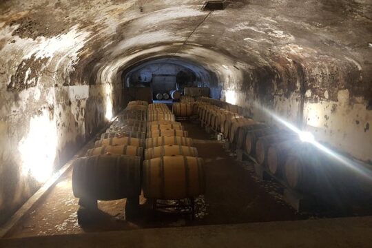 Private Tour from Lisbon to Sintra, Cabo da Roca, Cascais and Estoril
