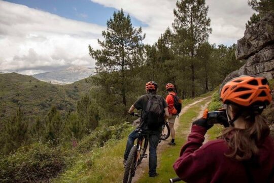 E-Bike Tour