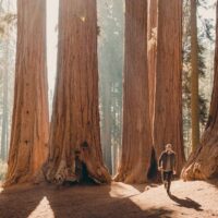 Multi-day & Extended Tours