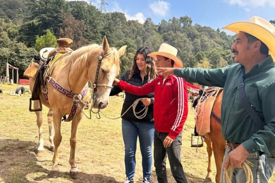 Horse experience with my family