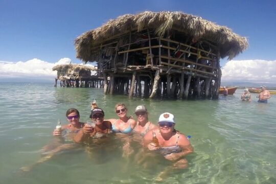 YS Falls and Pelican Bar Combo Full-Day Private Tour South Coast