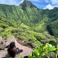 Walking & Biking Tours