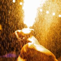 Shows, Concerts & Sports