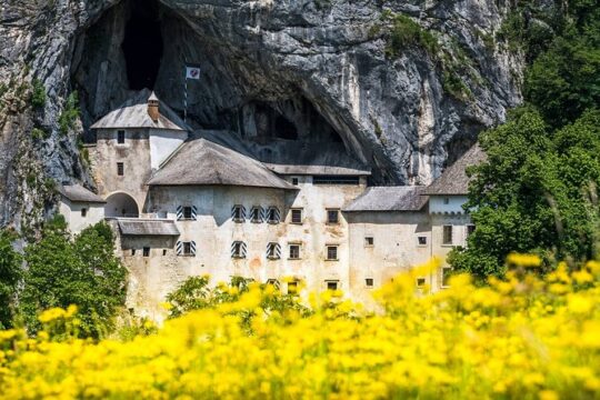 Ljubljana: Postojna cave & Predjama castle small group tour