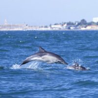 Sustainable Tours