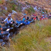 Shore Excursions