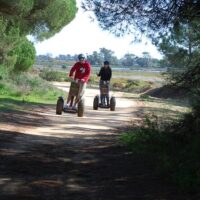 Private Sightseeing Tours