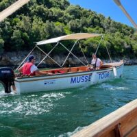 Boat Tours