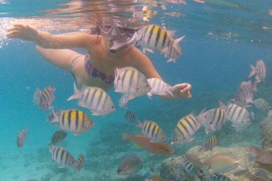 Vi Top Taxi &Tours USVI-Coki Beach Snorkeling Tour