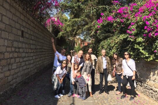 San Angel Mexican Food Tour