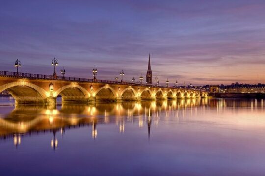 Private tour of Bordeaux at night in a sidecar