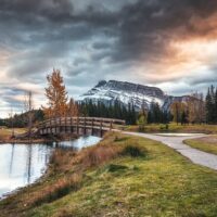 Airport & Ground Transfers