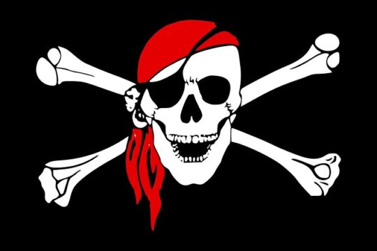 1 Hour Walking Pirate Tour Through Newport, Rhode Island