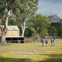 Multi-day Tours