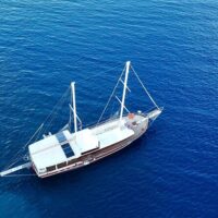 Multi-day Cruises