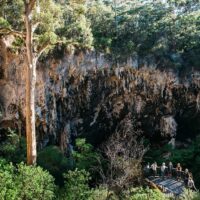 Sightseeing Tickets & Passes