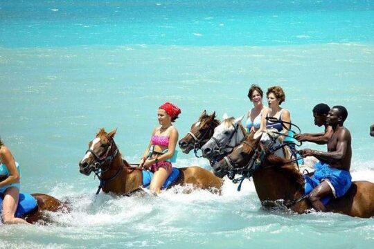 Ocho Rios Shore Excursion: Blue Hole, Tubing, Horseback Riding