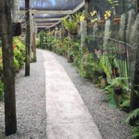 Shore Excursions