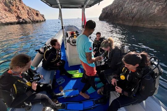 Chania Try Scuba 2 Shore Dives(Receive Certification)