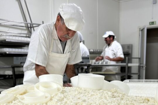 Artisanal Delights Cheese, Wine and Tile painting Experience