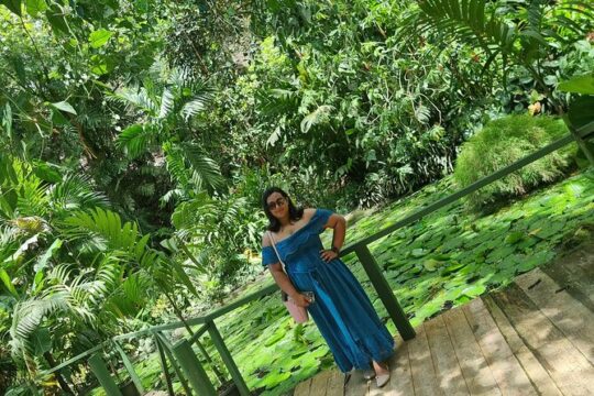 Nadi Tour of Gardens n Village n Mudpool Excluding Entry Fee