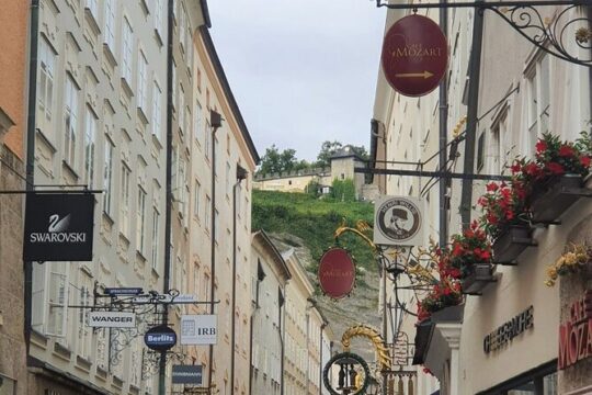 Full-Day Private Tour of Salzburg with Pickup