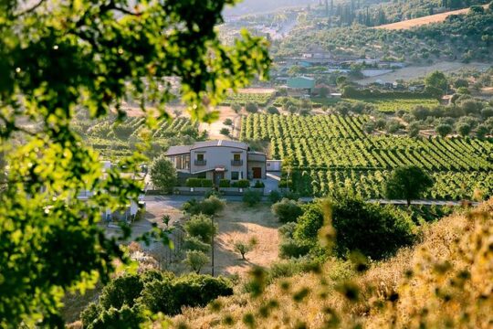 BEST Peloponnese Wine Roads Tour with Ancient Nemae