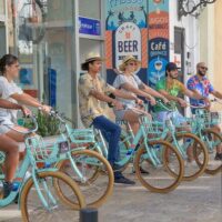 Self-guided Tours & Rentals