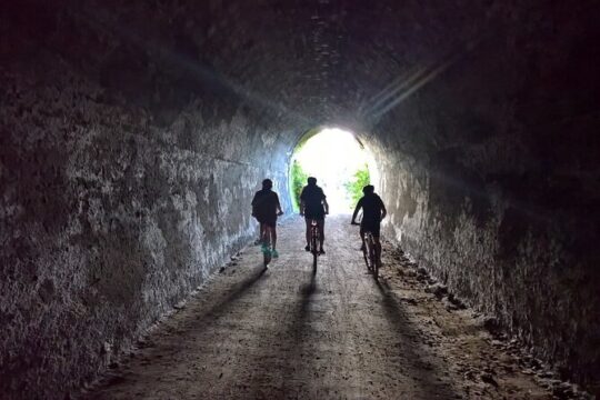 Old Coach Road Self-Guided Bike Tour from Ohakune
