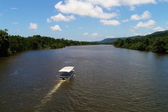 Ultimate Daintree Rainforest Wildlife Experience Cruise