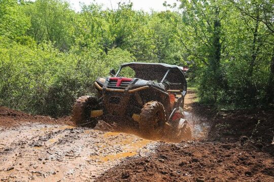 Self-drive Off Road Buggy