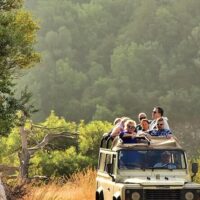 Safaris