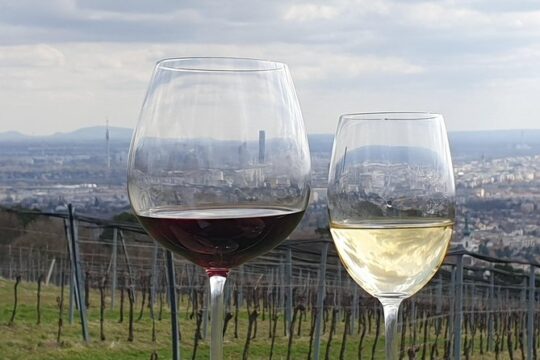 In Vienna Veritas - An Exclusive historical Wine tasting tour
