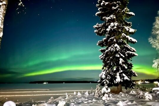 Northern Lights Activity Snowmobile Driving