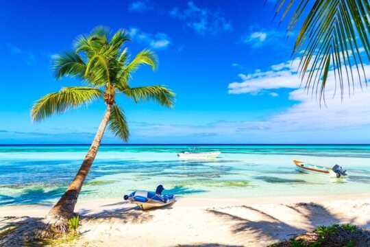 Full Day Saona Island Excursion with Lunch from Punta Cana