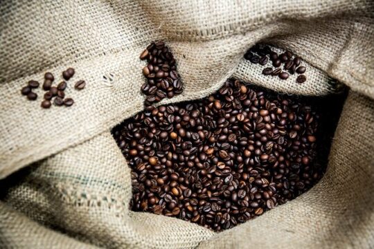 Hidden Flavors of the Hillside: Mouraria & Graça