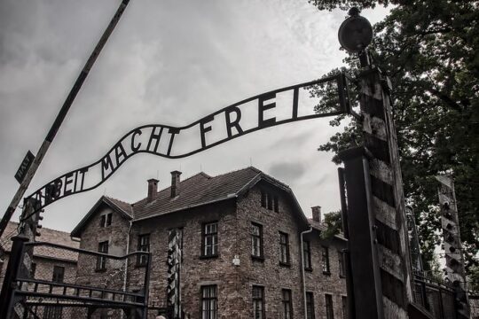 Auschwitz-Birkenau Private Tour from Krakow