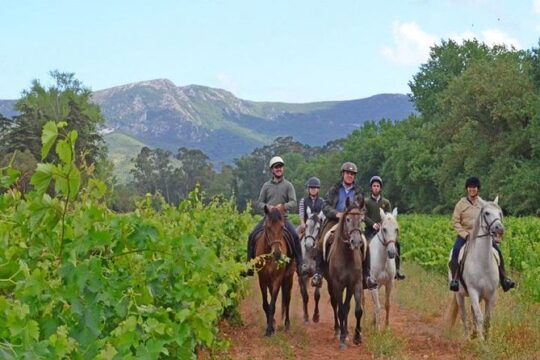 Horseback Riding In Lisbon - Arrábida - Louro Trail Mountain 5 - 6 Hours