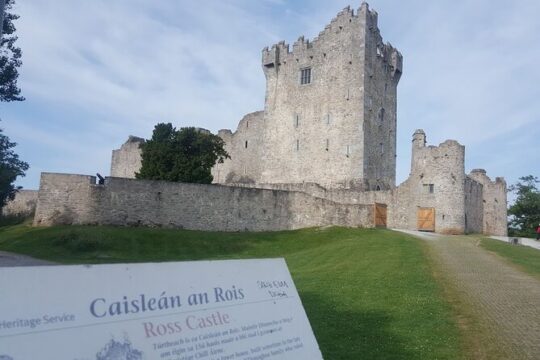 Private Tour: Killarney & Ring of Kerry Mountain Pass from Cork