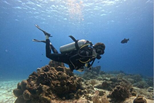 Open Water Diver Course