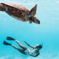 Eco Tours