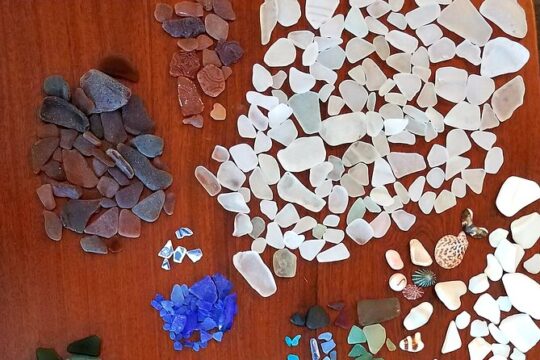Bonaire Beachcombing and Sea Glass Private Tour